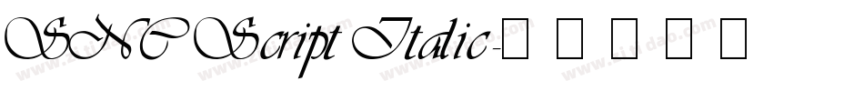 SNC Script Italic字体转换